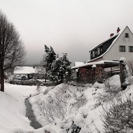 Ferienwohnung Wilhelm Springstille Eksteriør billede